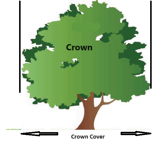 Image removed.
